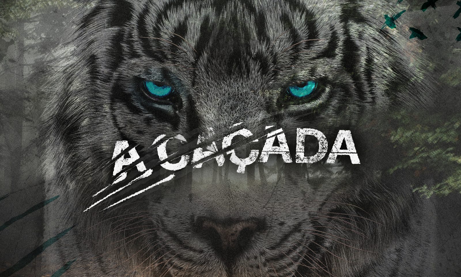 Capa original do curso A Caçada, com o tigre branco de olhos azuis